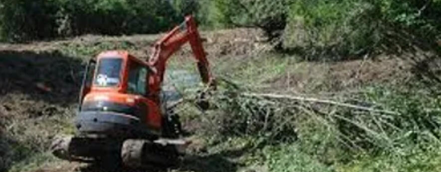 land clearing